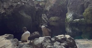 Video by Stephan Leuzinger on Pexels