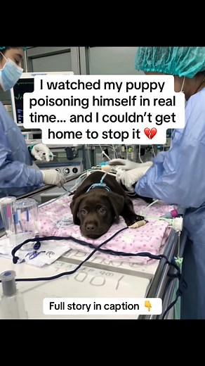 2.4K views · 22 reactions | Tuesday. 11:56am. Running out to grab...