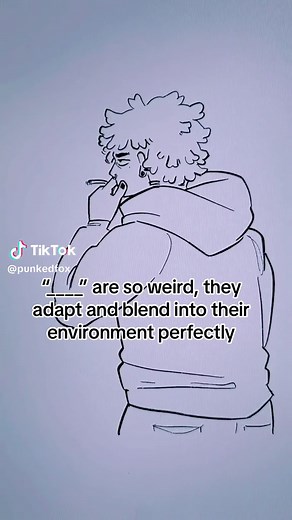 Foxes: The Misunderstood Creatures of the Animal Kingdom