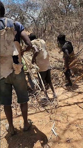 Hadzabe Hunters in Action: Ancient Survival Skills in Tanzania’s Wild Forest