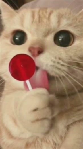 ya sé quién soy 😘 me gusta como soy 😎