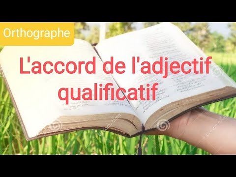 L'accord de l'adjectif qualificatif.
