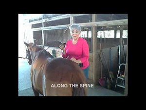 Raindrop Technique instructions