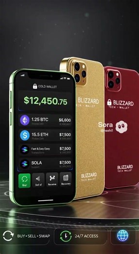 BLIZZARD TECH WALLET #blizzardtech #blockchain #coldwallet #cryptosecurity #crypto #fintech