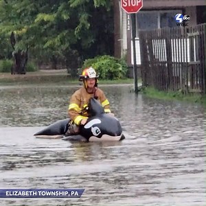 Sometimes you need a raft. Other situations call for ... an inflatable whale? Thanks to a WTAE viewer for sharing this video from the Buena Vista community in Elizabeth Township. https://www.wtae.com/weather | WTAE-TV Pittsburgh
