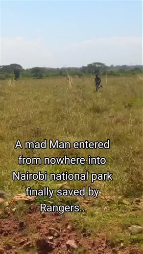 A mad man VS lions and cheetah | nairobi national park