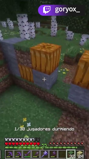 EL CHAT CREA LA CASA MAS FEA DE TODO MINECRAFT