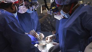 In a medical science first, US surgeons transplant pig heart into human patient