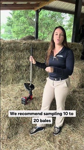 Sampling with Hay with Forage Probe