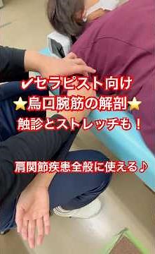 セラピスト向け！烏口腕筋の基礎解剖と触診！ストレッチの方法も！ #理学療法 #physiotherapy #腕の痺れ #肩こり #五十肩 #ストレッチ #施術
