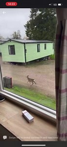 9.8K views · 963 reactions | So this happened on my live earlier today 歷 Hunters Quay Holiday Village | Motorbike Milly | Facebook