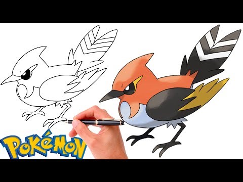 How To Draw FLETCHINDER POKEMON #662 | Generation 6
