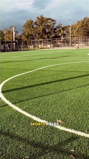 Brightmoor Detroit 🌱 | From Auto Roots to Community Renewal