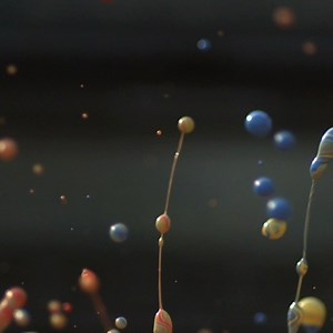 76K views · 434 reactions | Gav and Dan showcase exactly what happens when you pump #music through a vat of multicoloured paint. They fill a retro stereo speaker with it and turn up the volume for maximum visual effects. #slowmo | The Slow Mo Guys | Facebook