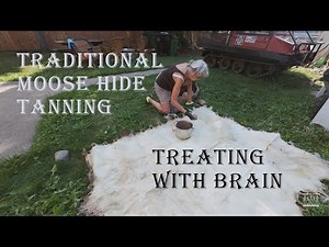 USING BRAIN To Tan Moose Hides (4K)
