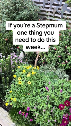 Stepmum Space Podcast: Support for Stepmoms