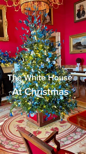 Christmas at the @whitehouse 2025🎄 The White House at Christmas was elegant, magical, patriotic, and whimsical. First Lady Melania Trump brought the People’s House to life with her 2025 theme, “Home Is Where the Heart Is.” From the red, white & blue East Room honoring America’s 250th birthday… to the majestic 18-foot Blue Room tree dedicated to Gold Star families… to the 10,000 blue butterflies in the Red Room symbolizing hope… her vision reminded us that family, faith, and freedom are still at