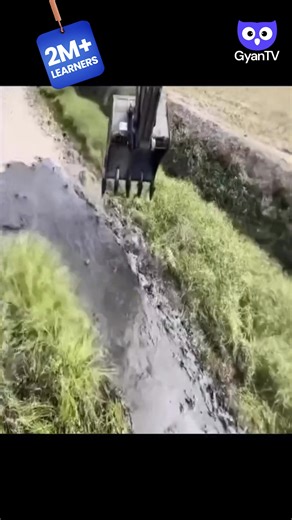 Videos chusthu smartly earn cheyandi – GyanTV lo learn cheyandi! • GyanTV app lo Wintub video-watching earning secrets • Learn how to use WhatsApp, Canva, and more to earn online 📲 GyanTV app download cheyandi, earn smarter today | Gyan TV - Skill Up 1.0