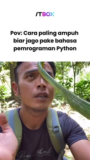 POV CARA PALING AMPUH BIAR JAGO PAKE BAHASA PEMROGRAMAN PHYTON !!