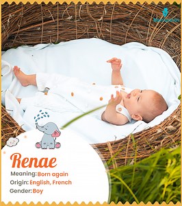 Renae Name Meaning, Origin, History, And Popularity