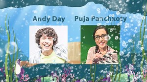 1K views | All aboard for a fun-filled CBeebies musical ocean adventure for all the family! Join CBeebies presenters Andy Day and Puja Panchkoty along with JoJo & Gran Gran for an underwater musical adventure at 3PM tomorrow (1 June) at Swansea Arena!  Tickets start at just £14.75 for one adult and one child with other ticket offers available. ️ https://loom.ly/X4HWsa0 | Enjoy Swansea | Facebook