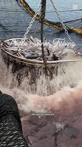 Brailing 200 tons Yellow Fin Tuna 🐠🐟 Purse Seiner Fishing @ South Pacific Ocean Thank You Lord 🙏🙏🙏 #jjrendonjumuad #followerseveryone #fbviralpost #fbpost #highlighteveryone #mananagat #highlight #fishing #mangingisda #tunafishing #fisherman | JJ Rendon Jumuad