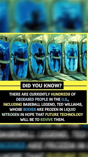 Frozen After Death… Waiting to Come Back to Life 😳❄️ #didyouknow #facts
