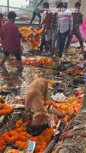 インドのデリーの様子、異世界すぎる