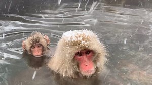 長野県のおすすめ温泉ランキング★地元民厳選TOP10