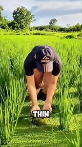 104K views · 628 reactions | Dabarun samun Riba a Gona 朗❤ #agriculture #farming #technology #engineering #safety #transportation #animals | Auwalu Tukur | Facebook