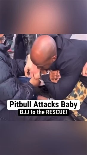 renergracie on Instagram: "Another hero in NYC! If ANYONE knows the guy who rescued the baby with the RNC, please connect me with him. If he does jiu-jitsu I wanna know where, if he doesn’t train, I wanna set him up for free all of 2026. If you don’t do jiu-jitsu OR if you tried jiu-jitsu and quit after you had a bad experience, I invite you to kick off the new year with us one of over 250 Gracie Jiu-Jitsu Certified Training Centers around the world. Comment “CTC” and I’ll send you the link to f