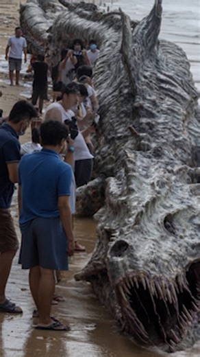 Tsunami Throws Gigantic Sea Monster Onto Beach #tsunami #seamonster #seacreature #beach | Most Amazing Top 10