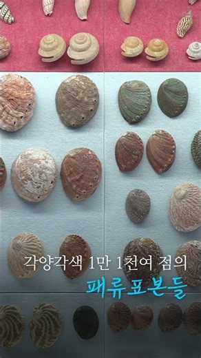 [요약본] 섬, 예술 관광도시를 꿈꾸다-1도 1뮤지엄 아트프로젝트 #신안군 #문화예술