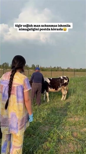 🐄 sogʼish man uchunmas