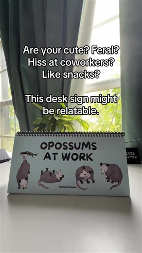 2K views · 21 reactions | Restocked! Get the desk sign while it’s still available! #opossum #deskaccessories #desksign #workhumor | Corporate Snark | Facebook