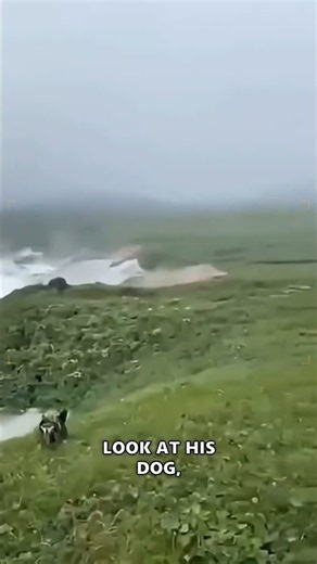 Did they survive the Russia tsunami? 🌊😱 #tsunami #russia #survival