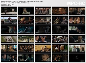 Ver Pelicula De Jet Li Sin Miedo Audio Latino Hd