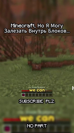 Minecraft : Entrez à l'intérieur des blocs en jeu