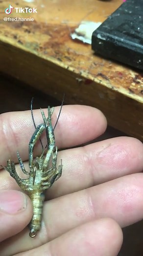 Crawfish Fly Patterns: Crafting with Monofilament Thread