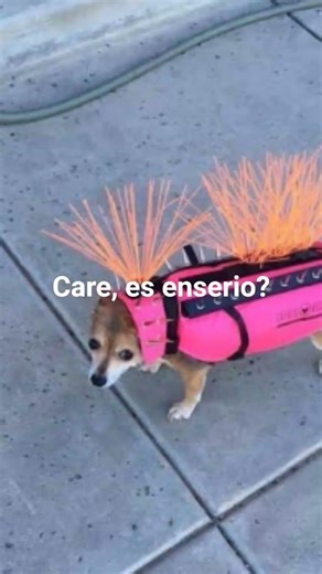 contexto: para empezar el 2014🔥🚬 #fernanfloo #2026 #añonuevo #xddd