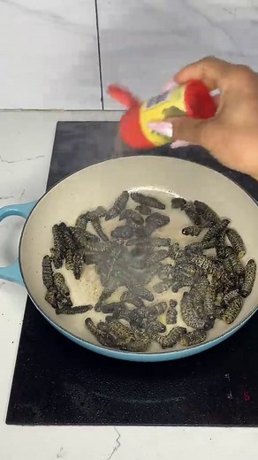 How to Cook Delicious Mopane Worms at Home