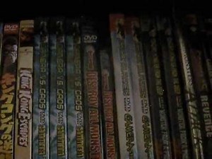My Godzilla DVD & Japanese VHS Collection