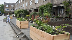 Planting more Postcode Gardeners to create greener streets | Friends of the Earth