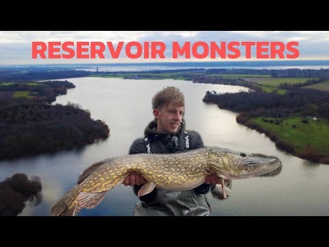The reality of fishing reservoirs for monster fish!