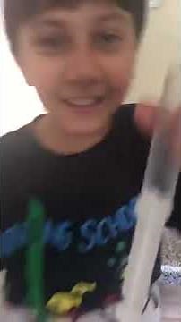 Fly inside syringe caught on camera