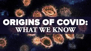 COVID-19 origins: What to know about the search for the start of the virus
