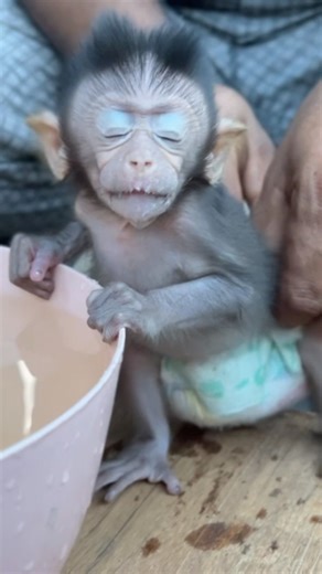 “Sleepy Mimi Is So Awkward During Diaper Change 😭💛”