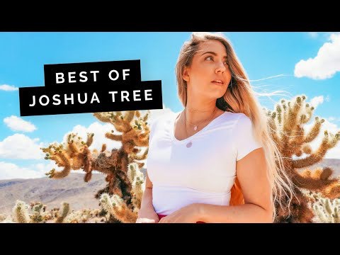 5 of the Best Things to Do in JOSHUA TREE 🇺🇸
