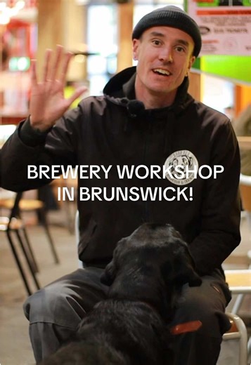 Workshop para perros en Co-Conspirators Brewpub