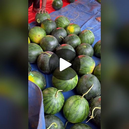 Viurin Nursery on TikTok